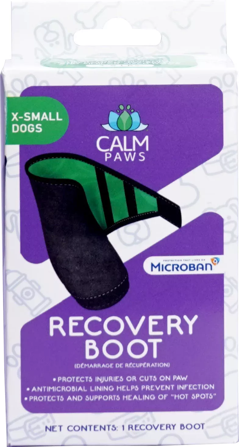 Calm Paws Recovery Boot
