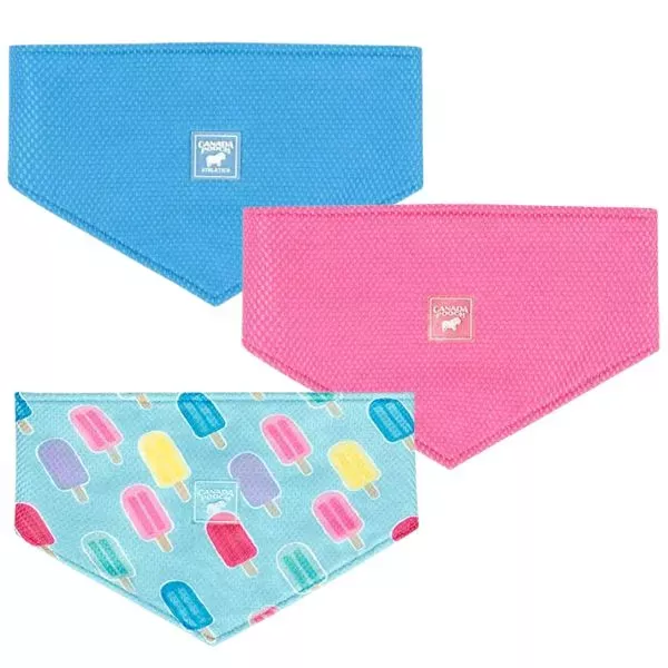 Canada Pooch Chill Seeker Cooling Bandana