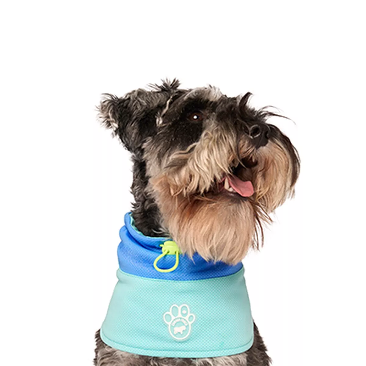 Canada Pooch Max Chill Cooling Snood Dog Scarf
