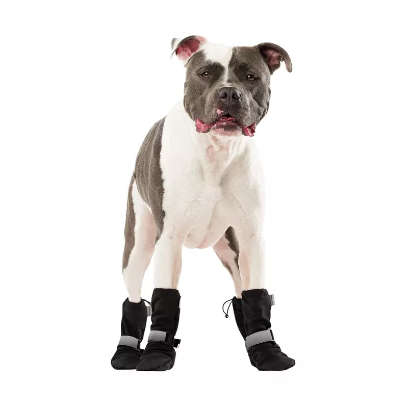 Canada Pooch Set of 4 Soft Shield Paw Boots in Black at Nordstrom, Size 2