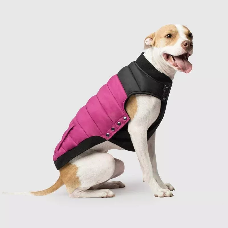 Canada Pooch Summit Stretch Dog Vest