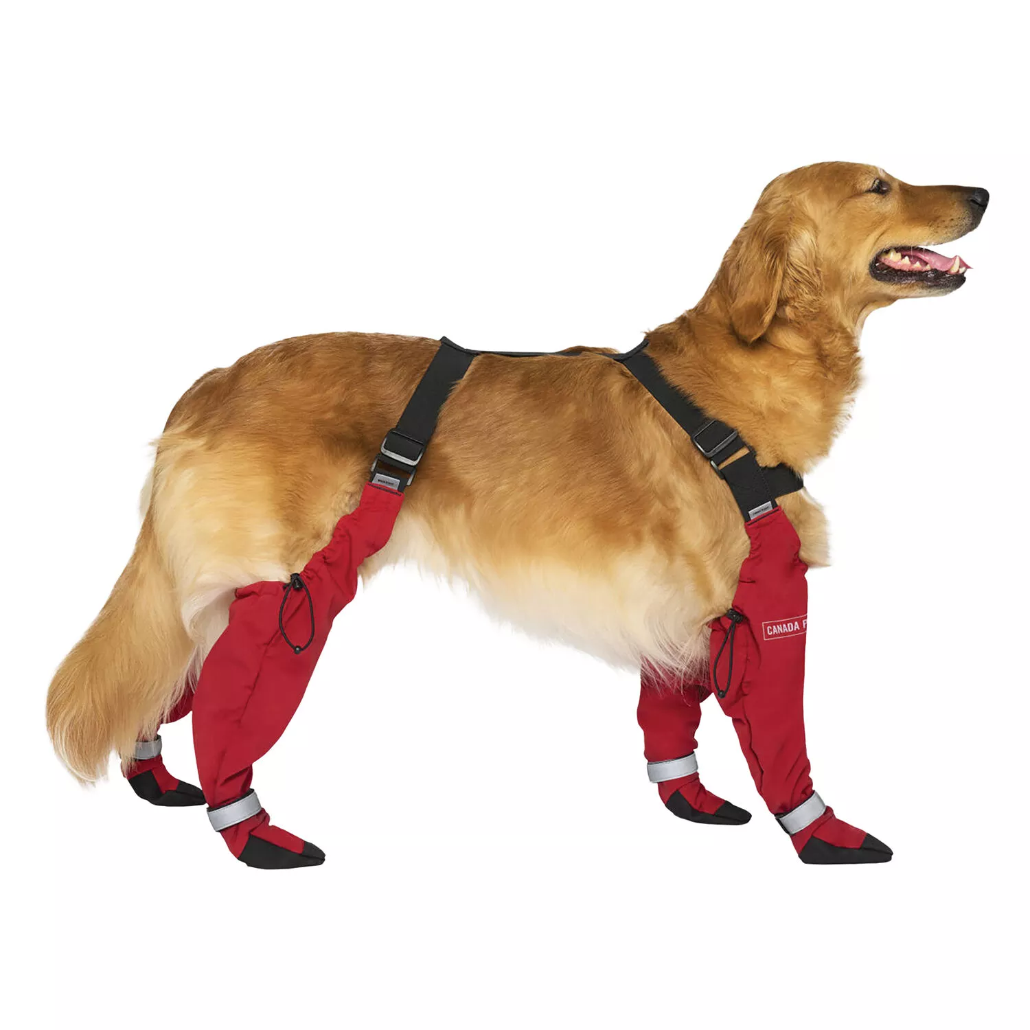 Canada Pooch, Suspender Boots - Red - Long