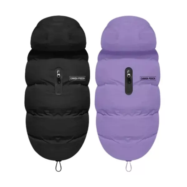 Canada Pooch Waterproof Puffer