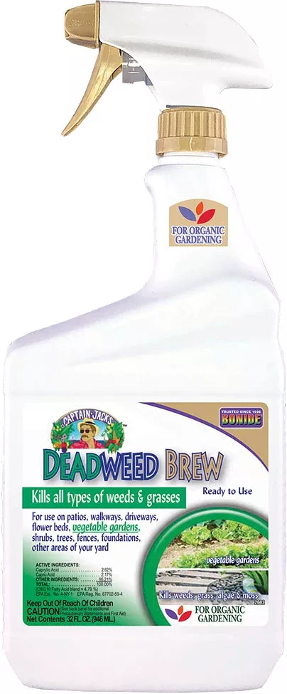 Captain Jack'S Deadweed Brew Rtu