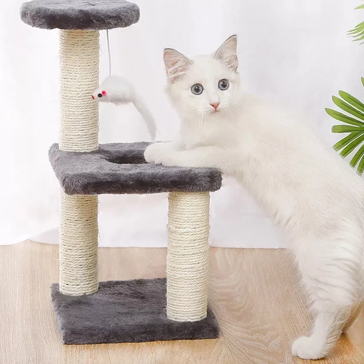 Cat Tree For Kitten