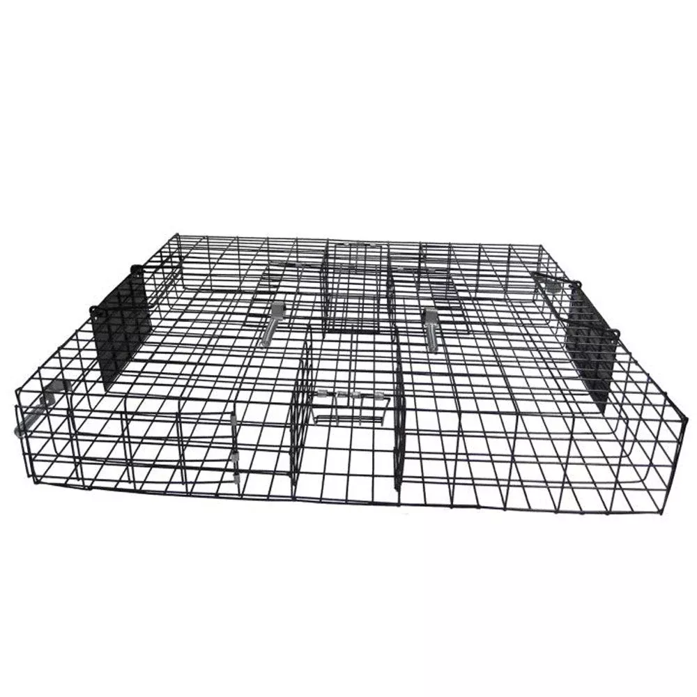 CATCH MOR Squirrelinator Multi-Catch Rat Trap