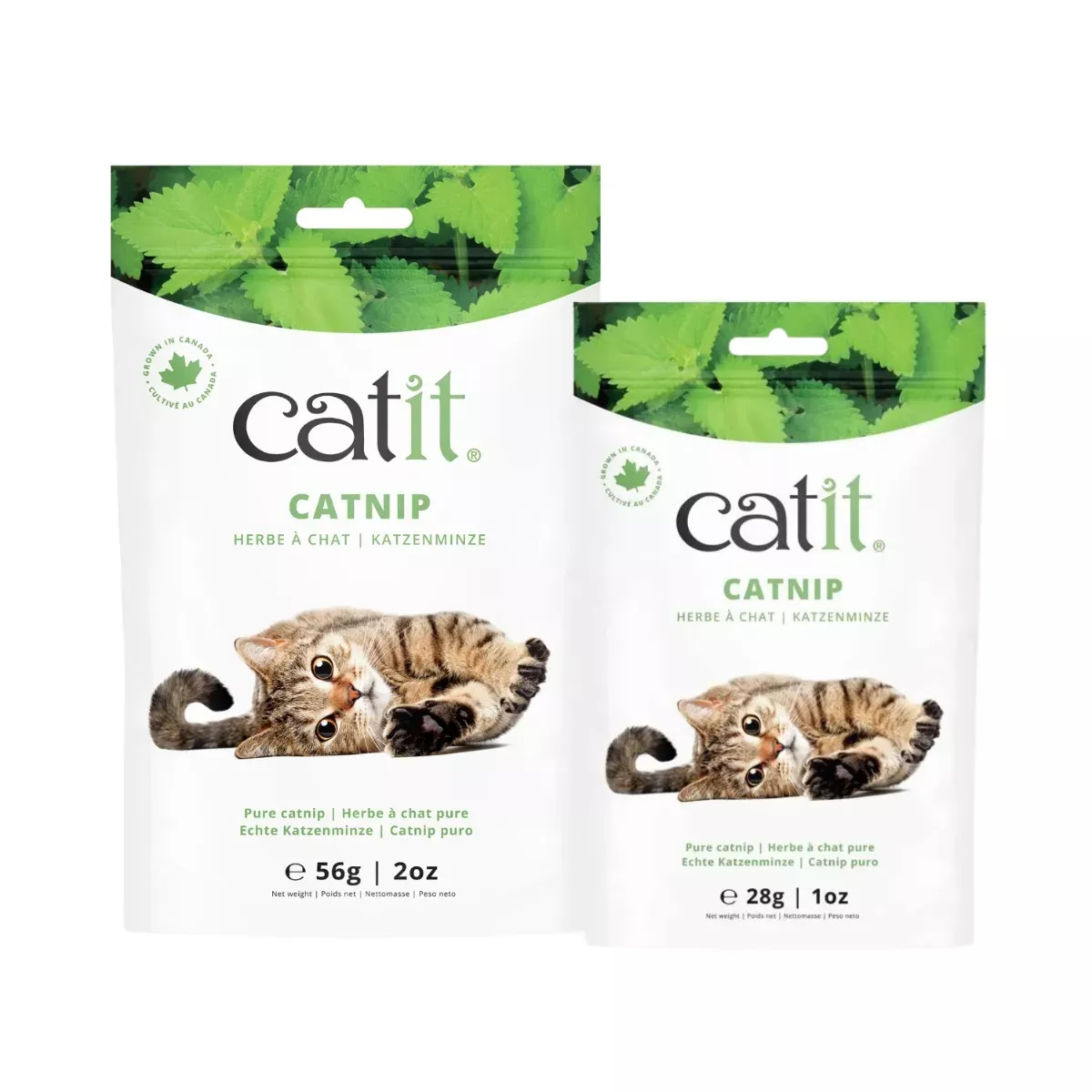Catit Pure Catnip