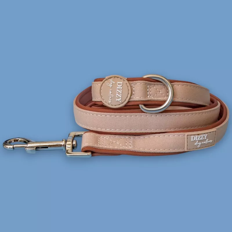 The Chai Dog Leash | Fully Padded Canvas & Neoprene