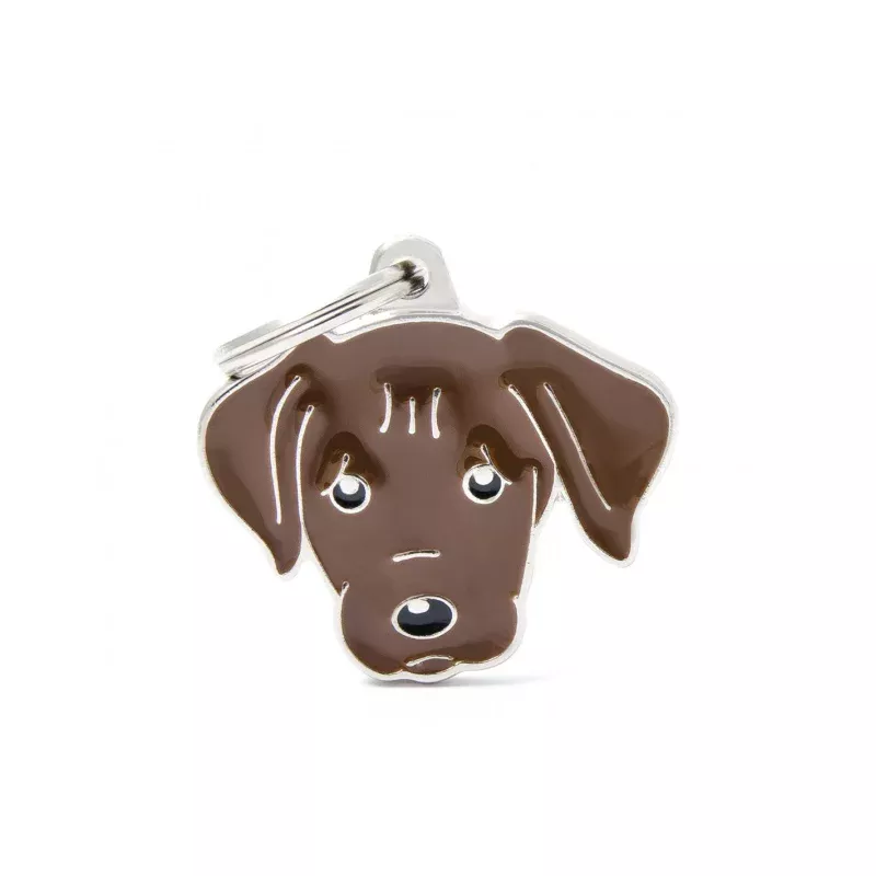Chocolate Labrador