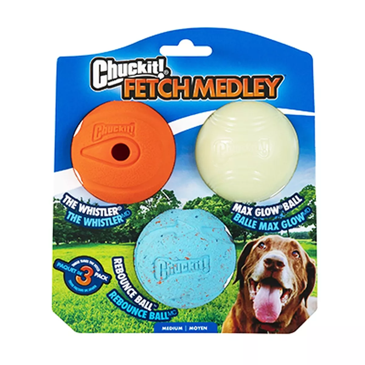 Chuck It Fetch Balls Medley Dog Toys