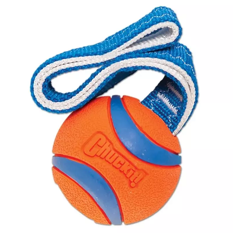 Chuckit Ultra Tug Fetch Dog Toy Large