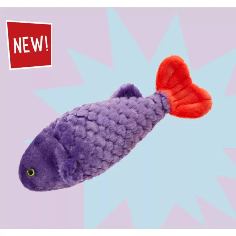 Cici the Tropical Fish