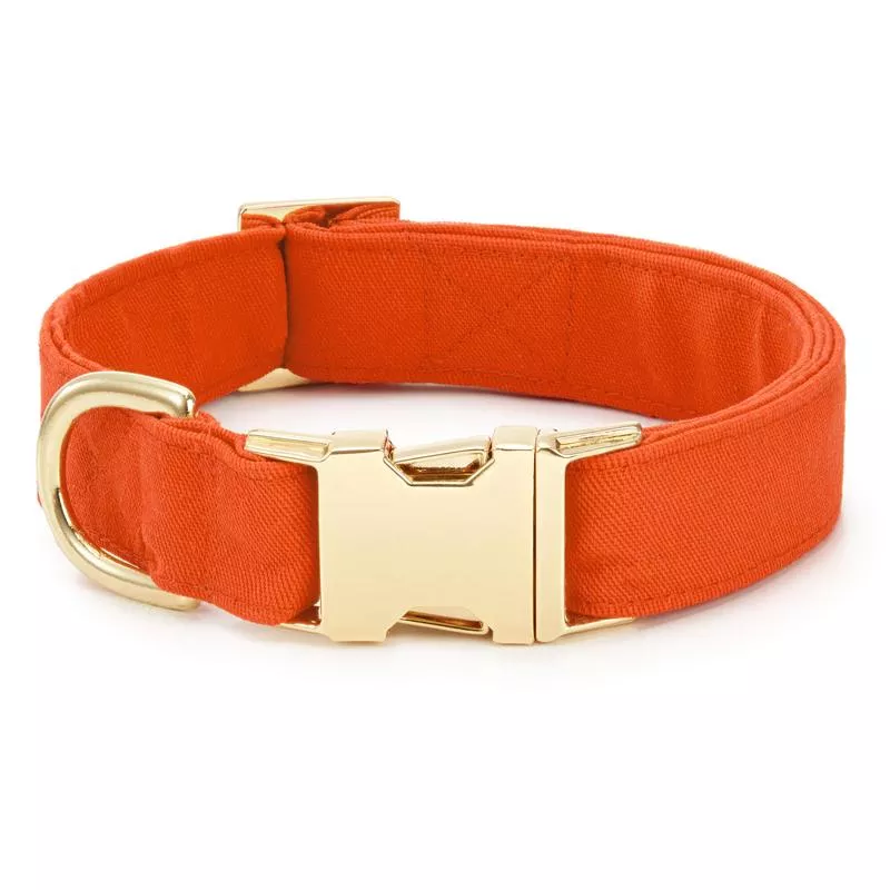 Cider Dog Collar L-18-26