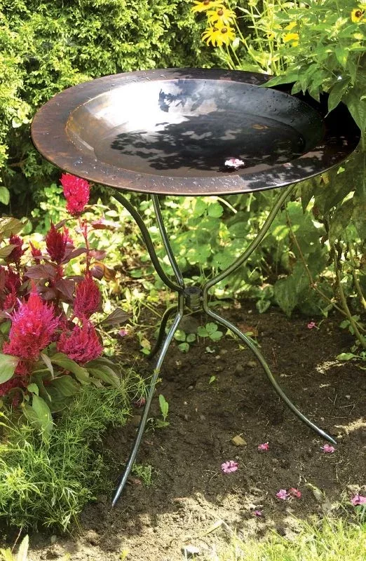 Classic Brass Birdbath