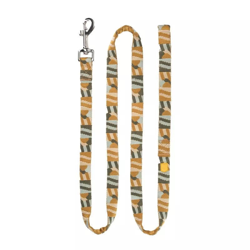 Cloudbeam Leash