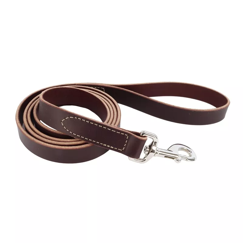 Coastal Circle T 6ft Long 1in Leather Dog Leash, Latigo
