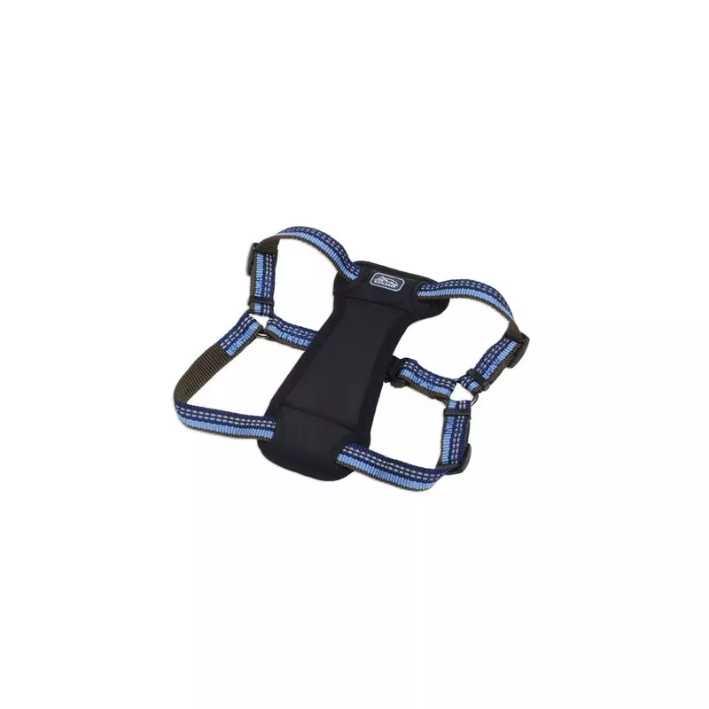 Coastal K9 Explorer Reflective Adjustable 5/8in Wide 16-24in Padded Dog Harness Sapphire