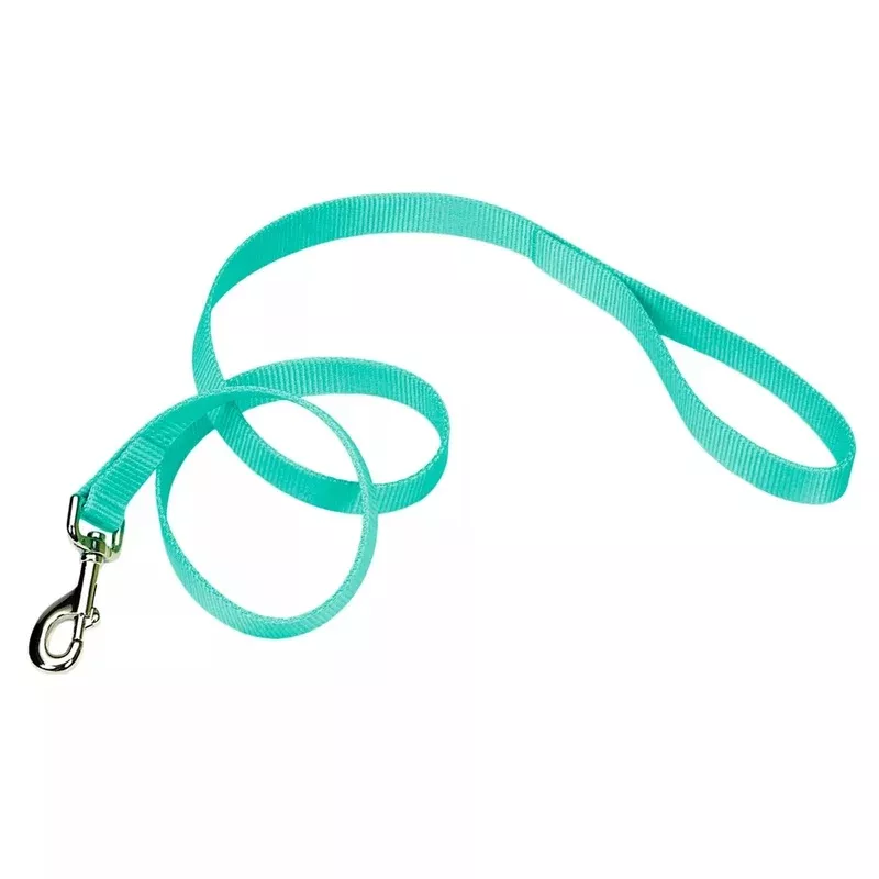 Coastal Single Ply 4ft Long 5/8in Dog Leash Teal – Transform Your Backyard into a Wildlife Oasis for All Creatures