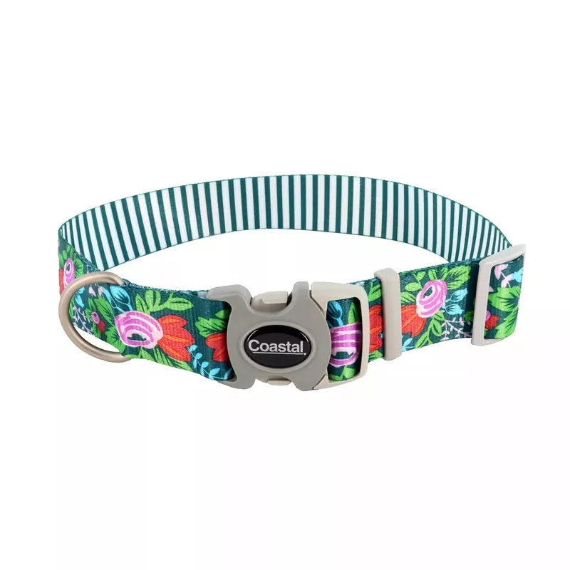 Coastal Sublime 1in Wide 12-18in Adjustable Dog Collar Flower Stripe