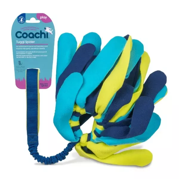Company Of Animals Coachi Tuggi Spider