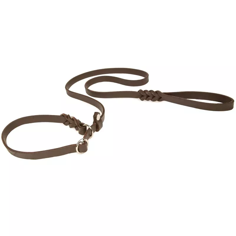 CopcoPet – Retriever leash/agility leash made of fat leather chrome-plated size 1.20 mx 10 mm brown 1.20 mx 10 mm chrome-plated brown – Creating a Sanctuary for Your Pets and Visiting Wildlife