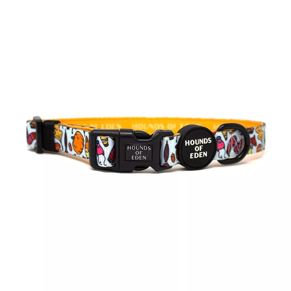 Country Pupkin – Autumnal Doodle Dog Collar