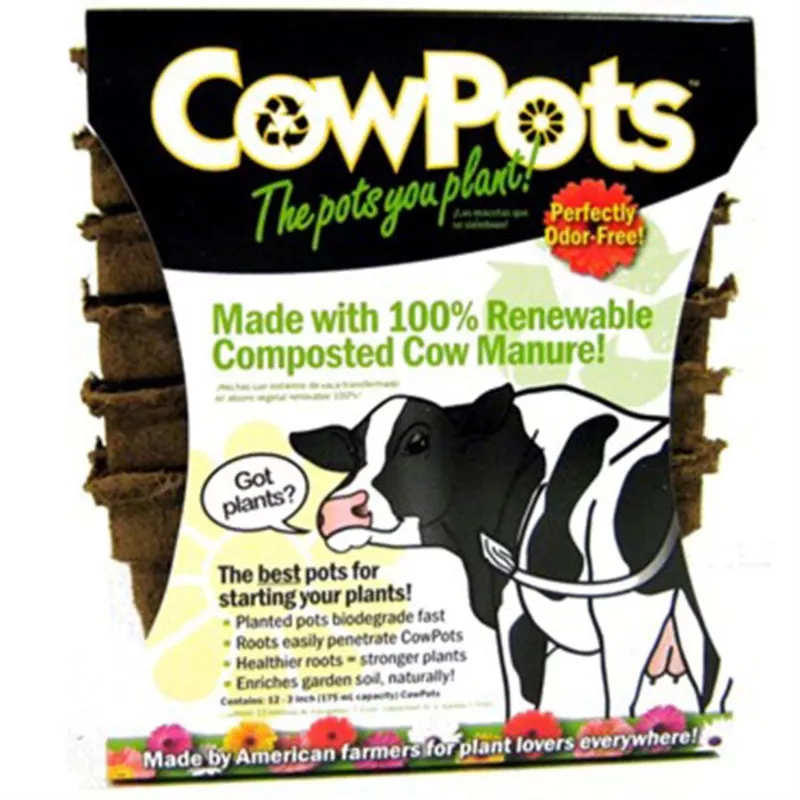 Cow Pot Square #3 12 CT