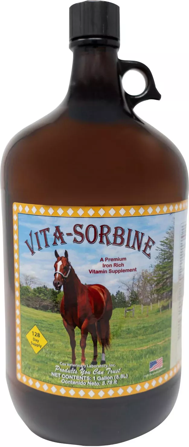 Cox Vita-Sorbine Liquid Vitamin Supplement (Pack Of 4)