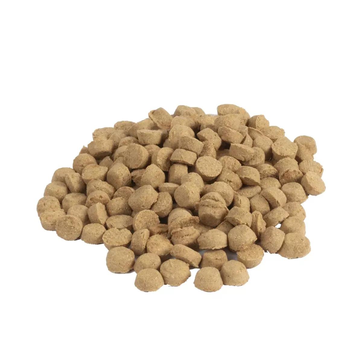 Darford Trainers Dog Biscuits