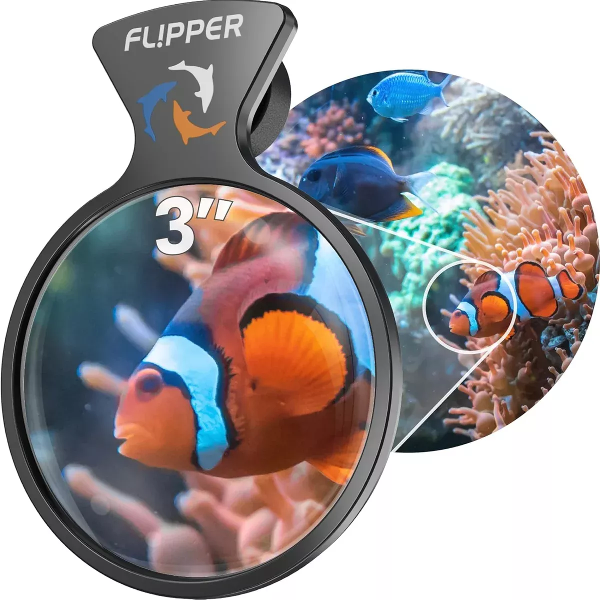 DeepSee Viewer Black Nano 3"