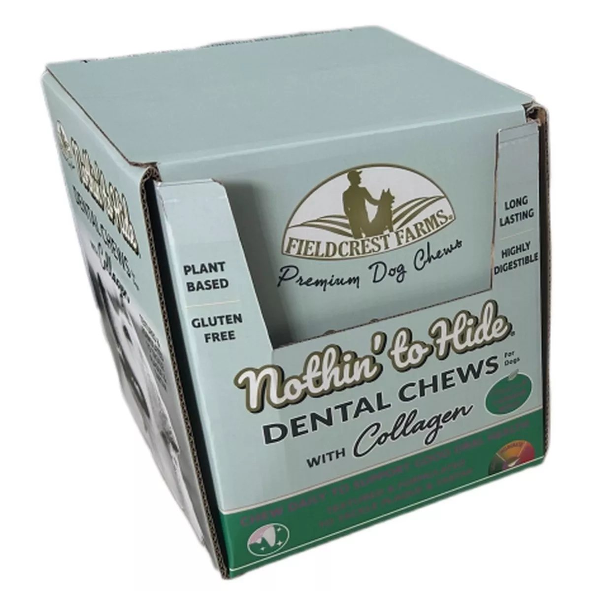 Dental Bone Beef 7" cigar band 13pc PDQ