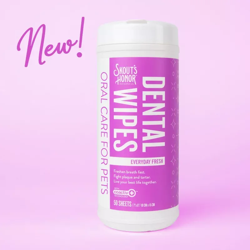 Dental Wipes