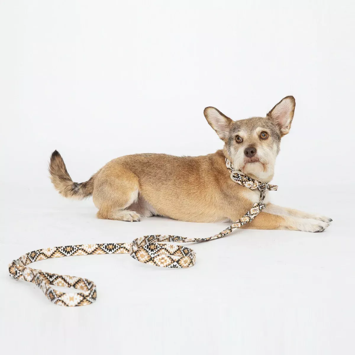 Diamond Cork Leather Leash