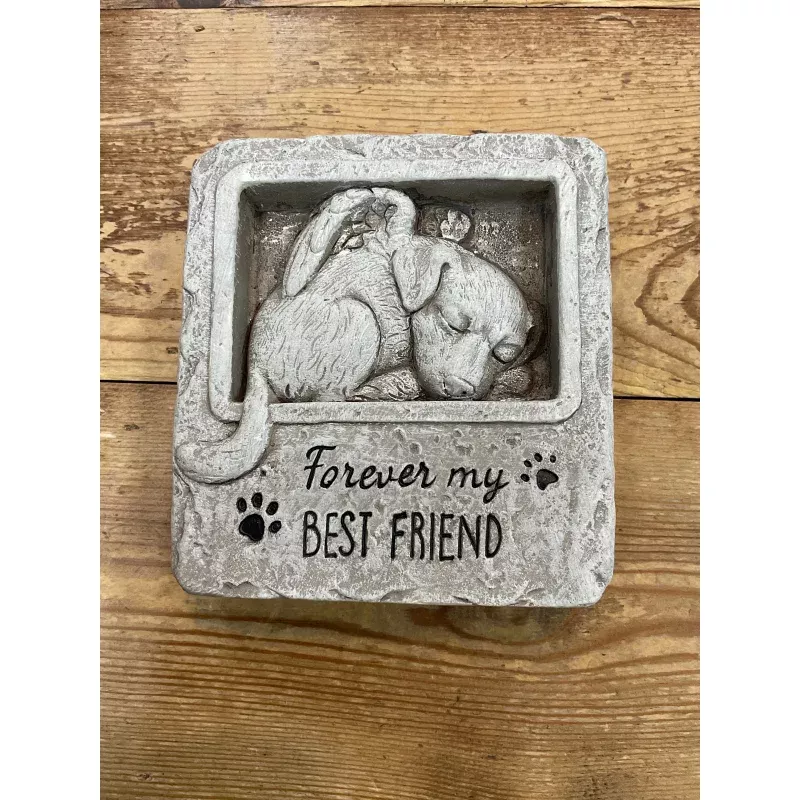 Dog Best Friend Sq Stone