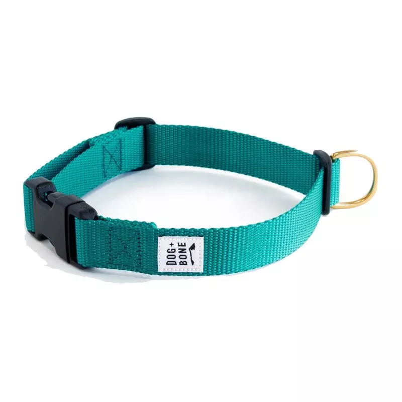 Dog+Bone Adjustable Snap Collar Teal