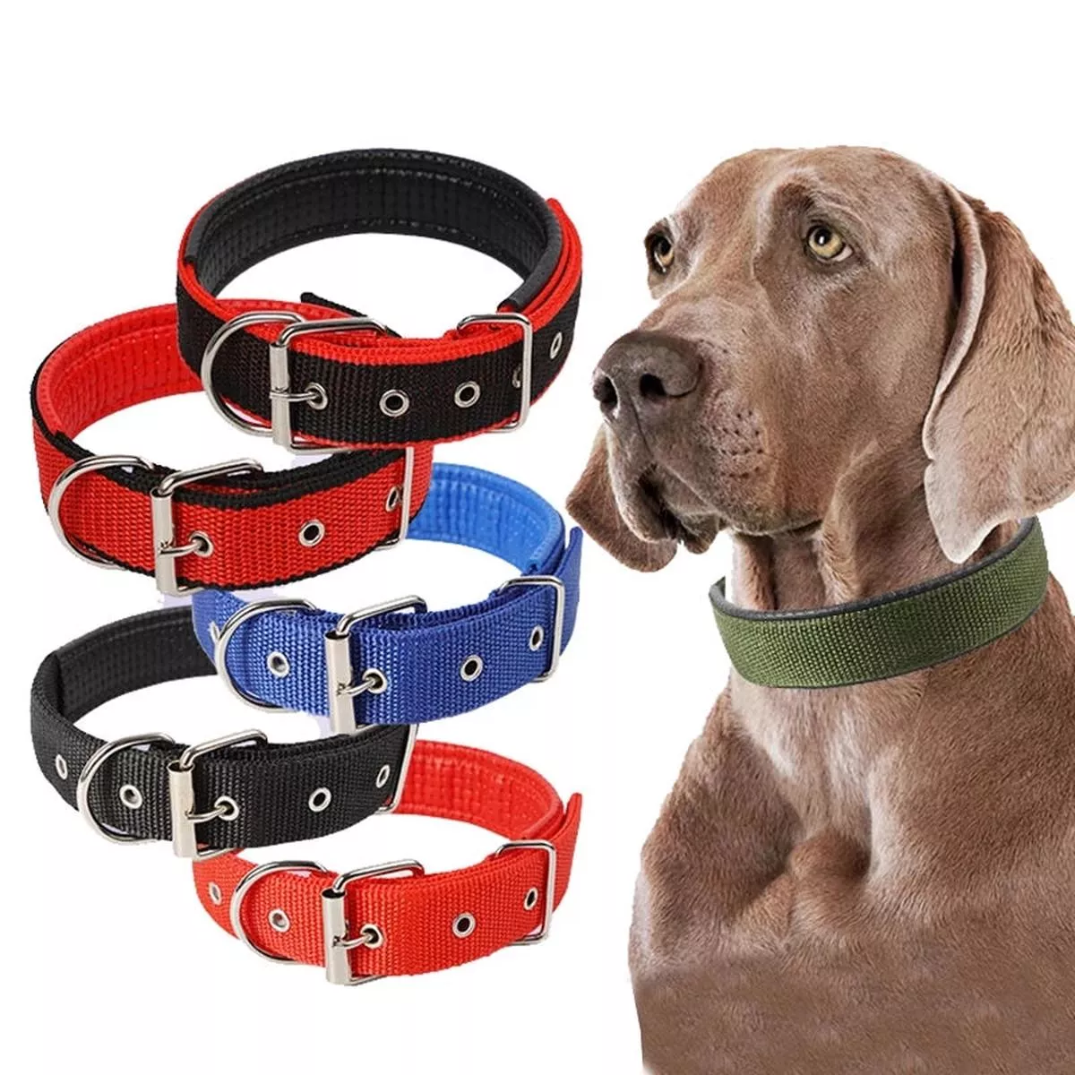 Dog Collar Solid Nylon 1″