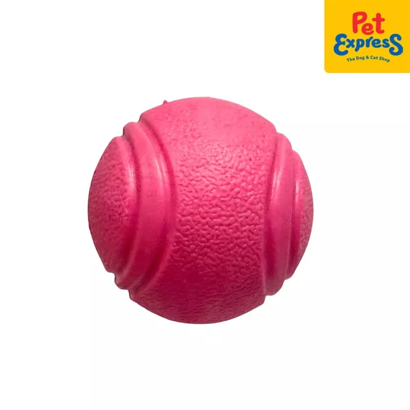 Doggo Firm Ball Dog Toy Small Pink