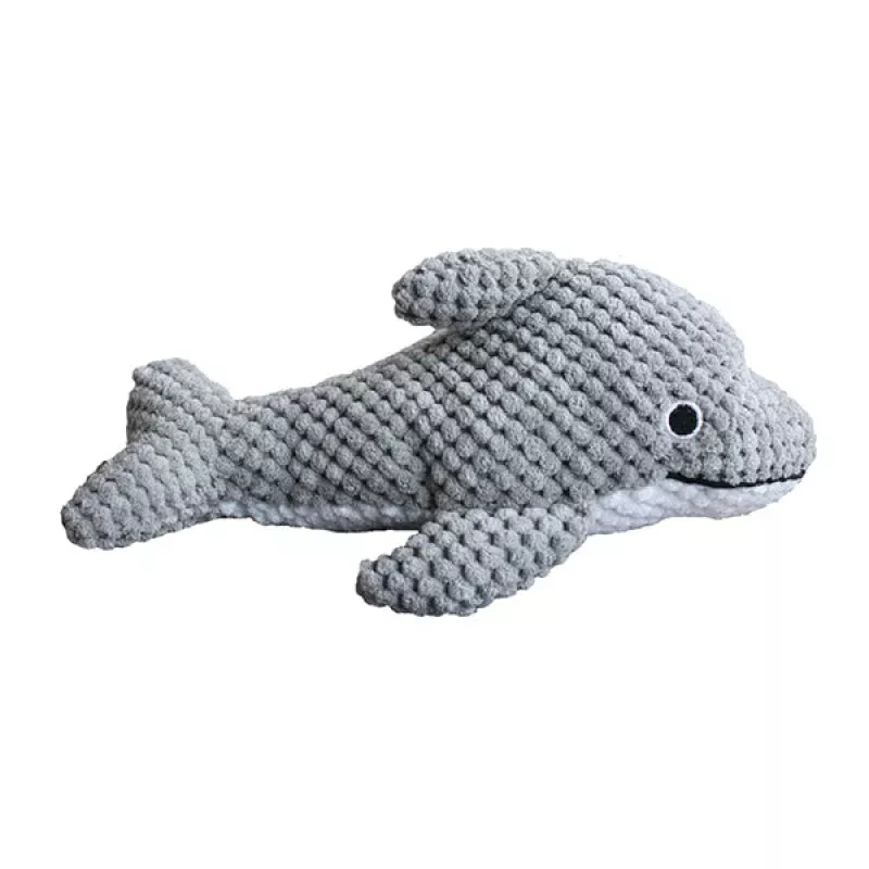 Dolphin