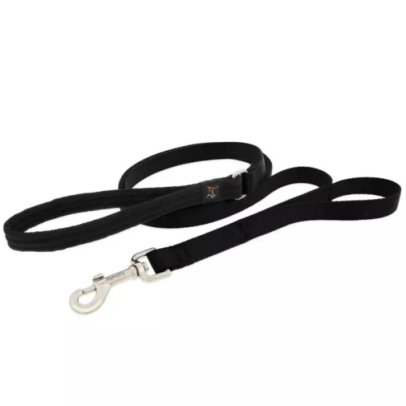 Double Handled Leash 6'