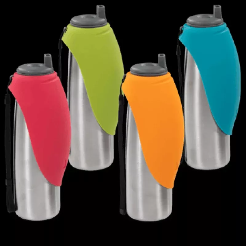 Double wall travel water bottle