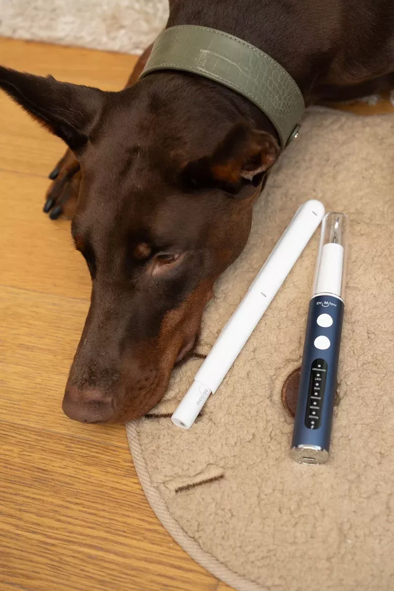 Dr. Milou Ultrasonic Home Pet Oral Care Set (100% Money Back Guarantee)