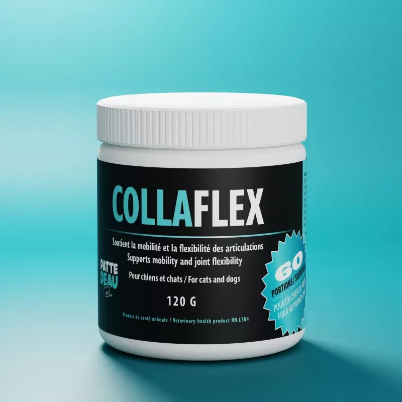 Dtaillant Collaflex caisse de 6 Pots