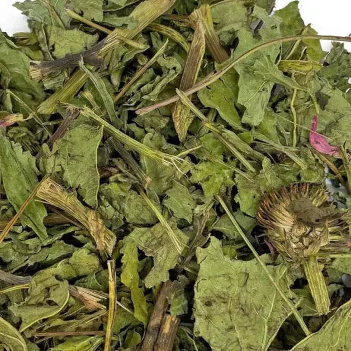 Echinacea Leaves & Stems Grazing Bag 200g