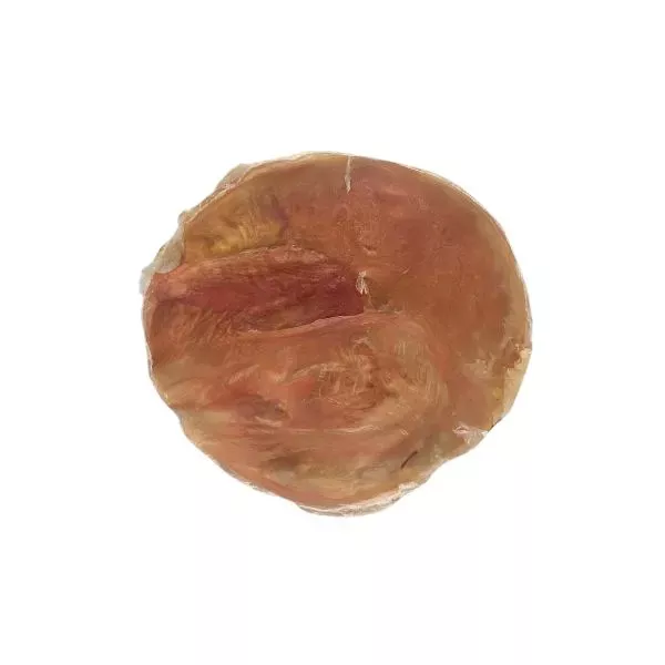 Eldon's Flatty Patty