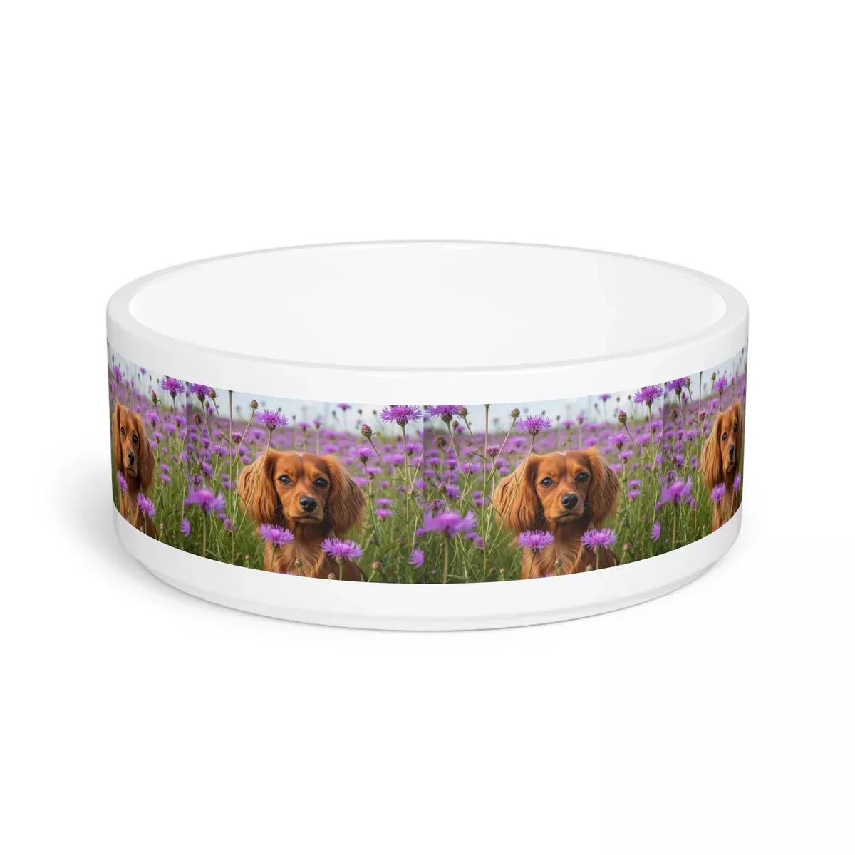 English Toy Spaniel Pet Bowl