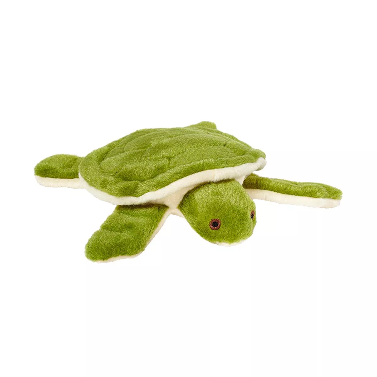 Esmerelda Turtle