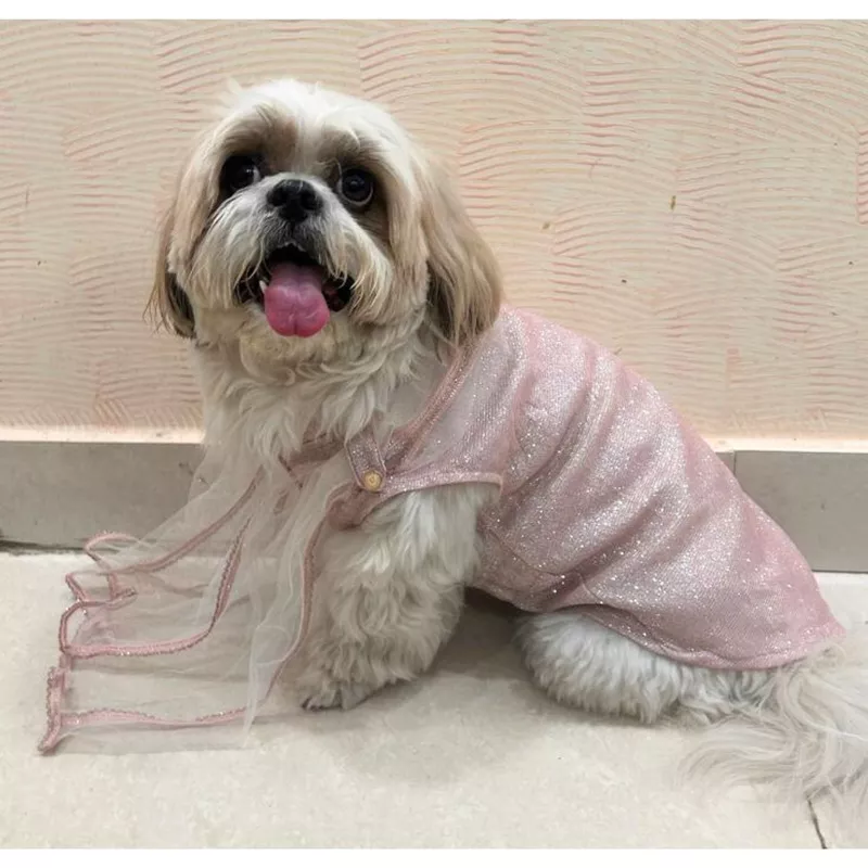 Ethnic Dog Dress for Small & Medium Breeds Pink