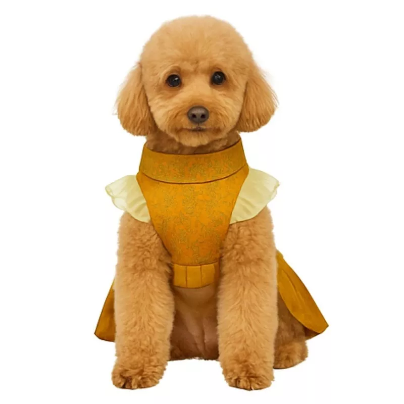 Ethnic Golden Dress with Ruffled Sleeves For Female Dogs Yellow