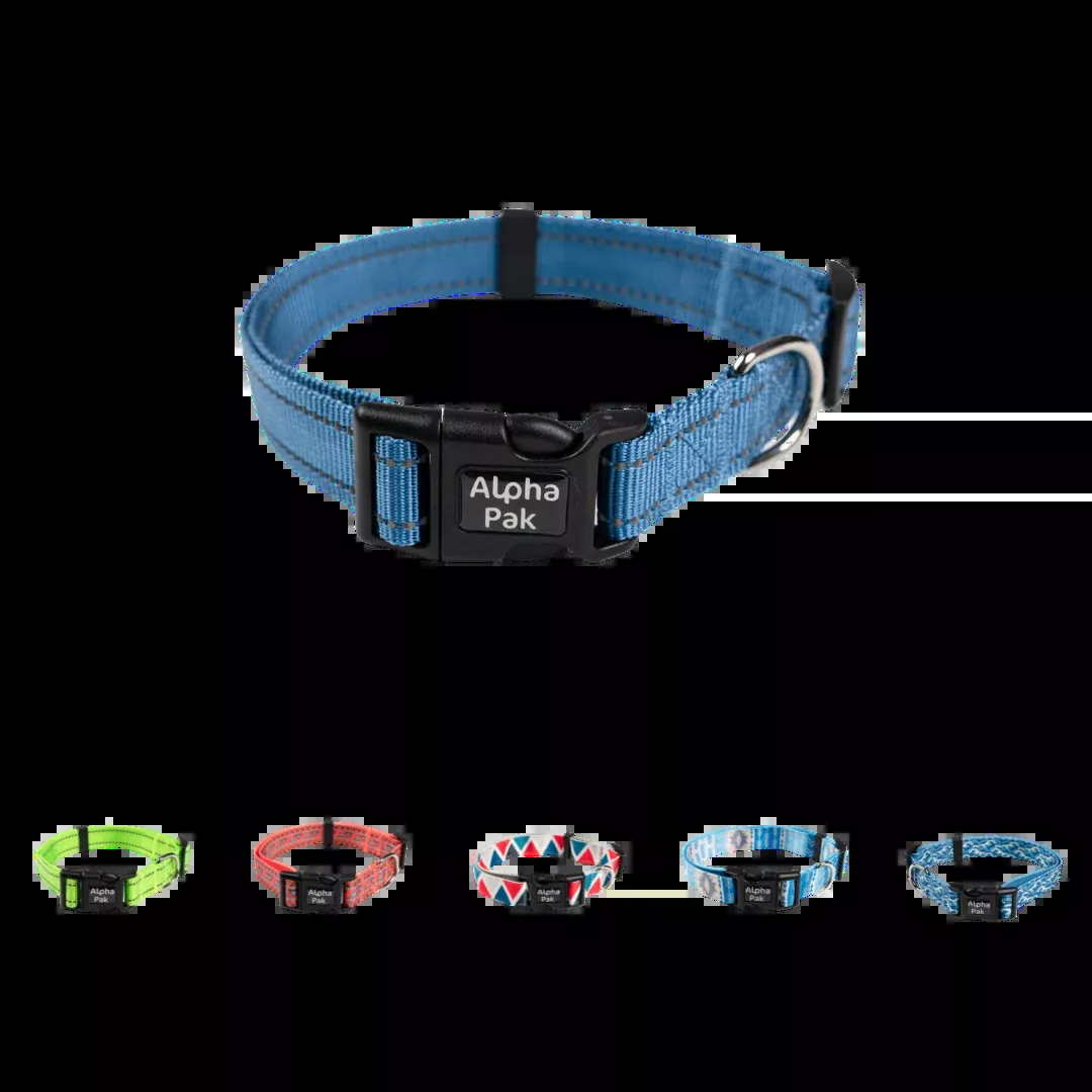 Everyday Adventure Dog Collar