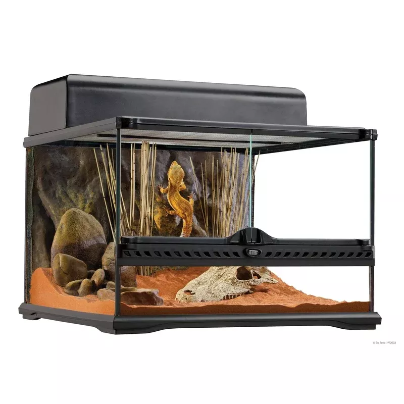Exo Terra Natural Advanced Habitat Terrarium 18in – Transform Your Backyard into a Wildlife Oasis for All Creatures